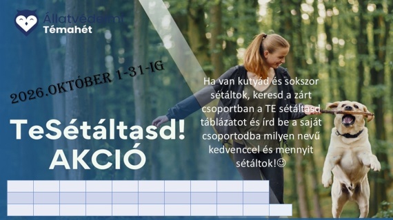 Te sétáltasd