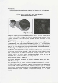 szkennelés(2017-10-2)0002